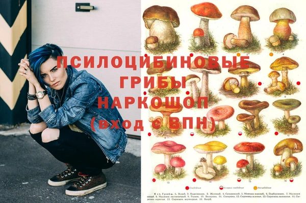 МДПВ Алзамай